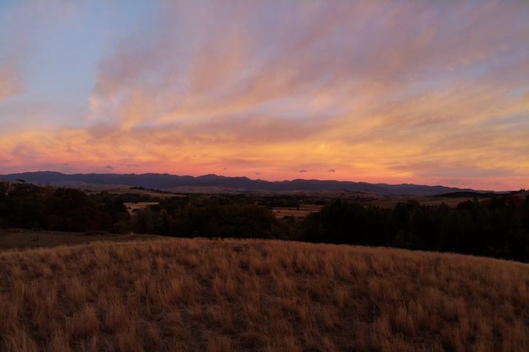 Photo of property in 490 Bluff Rangitumau Road, Rangitumau, Masterton, 5871