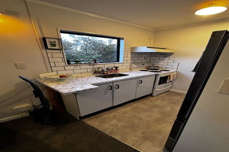 Photo of property in 152 Raroa Road, Aro Valley, Wellington, 6012