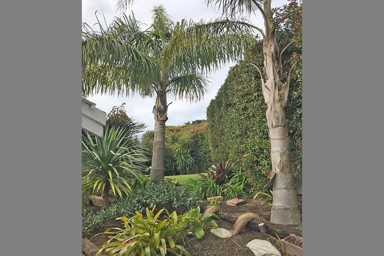 Photo of property in 2/563 East Coast Road, Browns Bay, Auckland, 0630