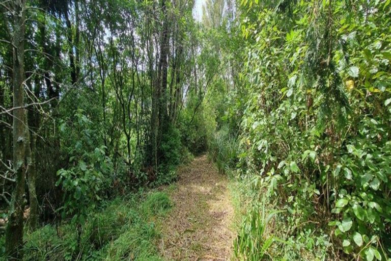 Photo of property in 47 Te Whanga Road, Levin, 5572