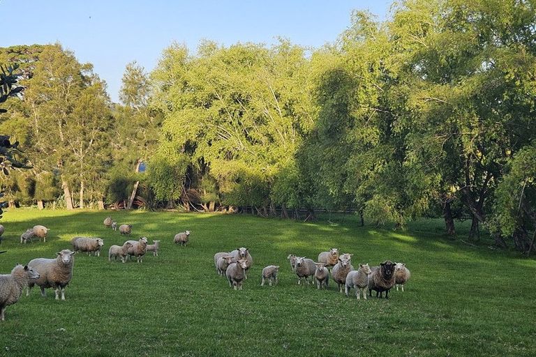 Photo of property in 342 Spur Road, Stillwater, Silverdale, 0993