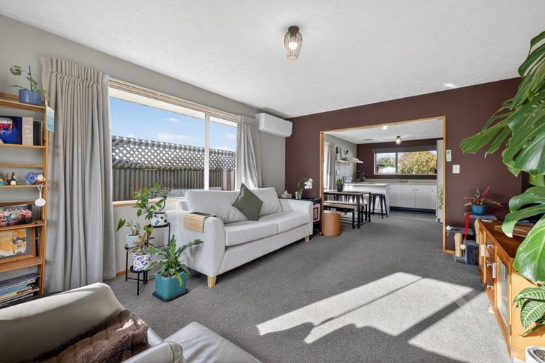 Photo of property in 19a Richill Street, Belfast, Christchurch, 8051