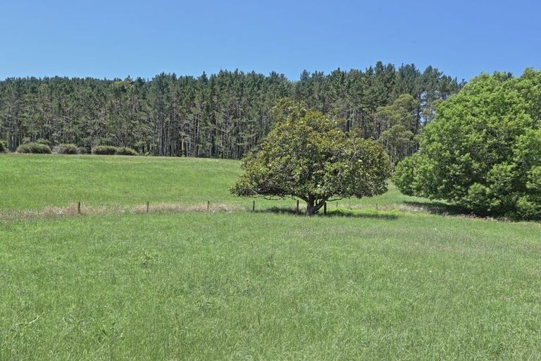 Photo of property in 546 Trig Road, Waihi, 3681