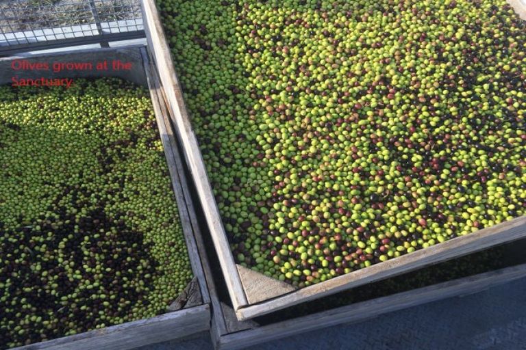 Photo of property in 15 Woodleigh Lane, Mangawhai, 0573