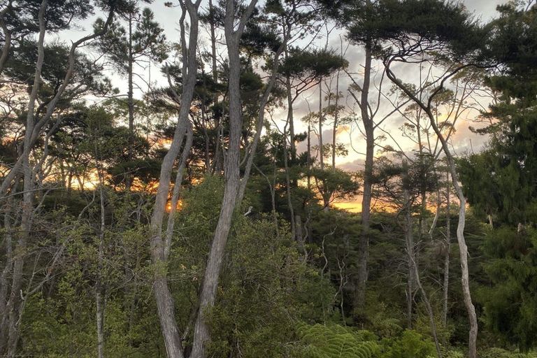 Photo of property in 22b Sunnyvale Road, Swanson, Auckland, 0614