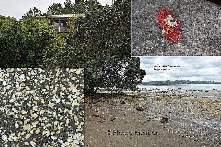 Photo of property in 14 Moana Road, Tinopai, 0593