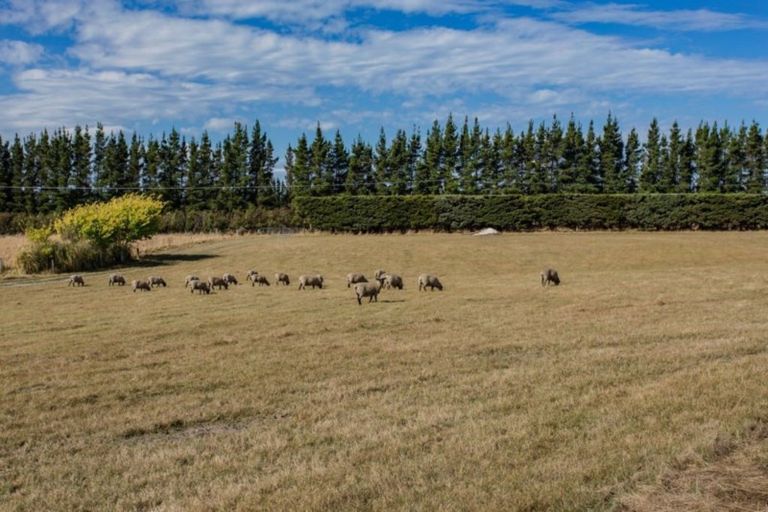 Photo of property in 176 Balcairn Amberley Road, Balcairn, Amberley, 7481