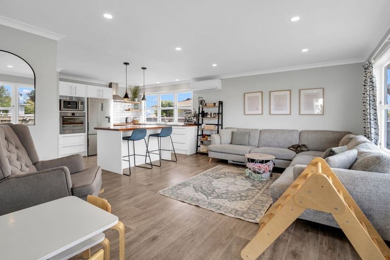 Photo of property in 17 Ferguson Street, Levin, 5510