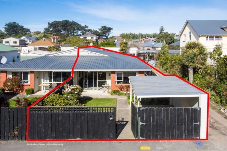 Photo of property in 66a Albert Street, Saint Clair, Dunedin, 9012