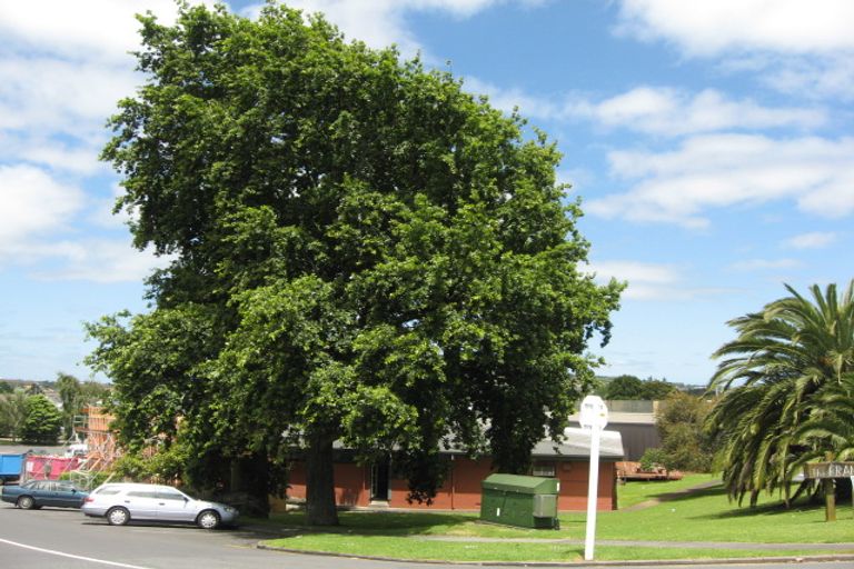 Photo of property in 1 Mason Avenue, Pukekohe, 2120