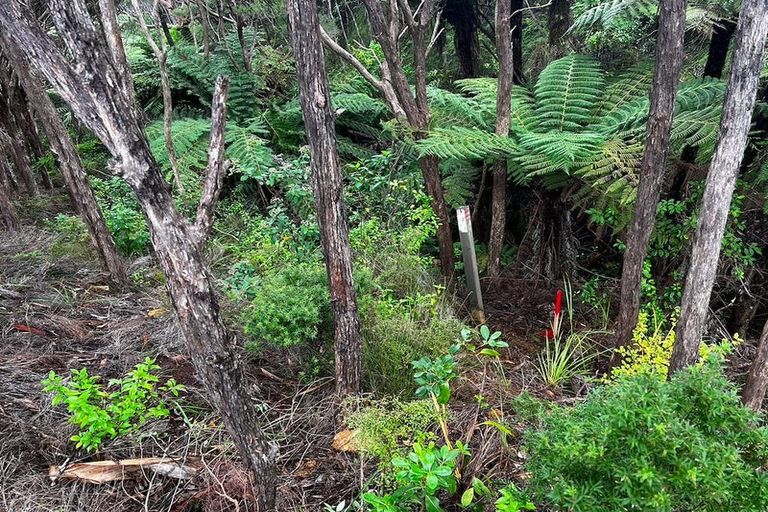 Photo of property in 25 Te Ahu Place, Karikari Peninsula, 0483