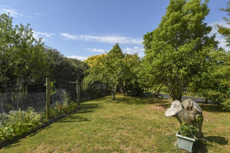 Photo of property in 64 Grammer Road, Tahawai, Katikati, 3170