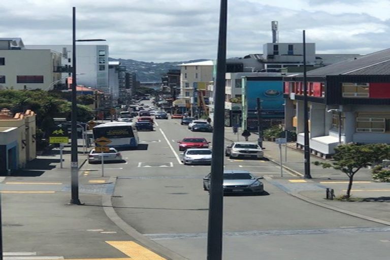 Photo of property in 13 Buckle Street, Mount Cook, Wellington, 6011