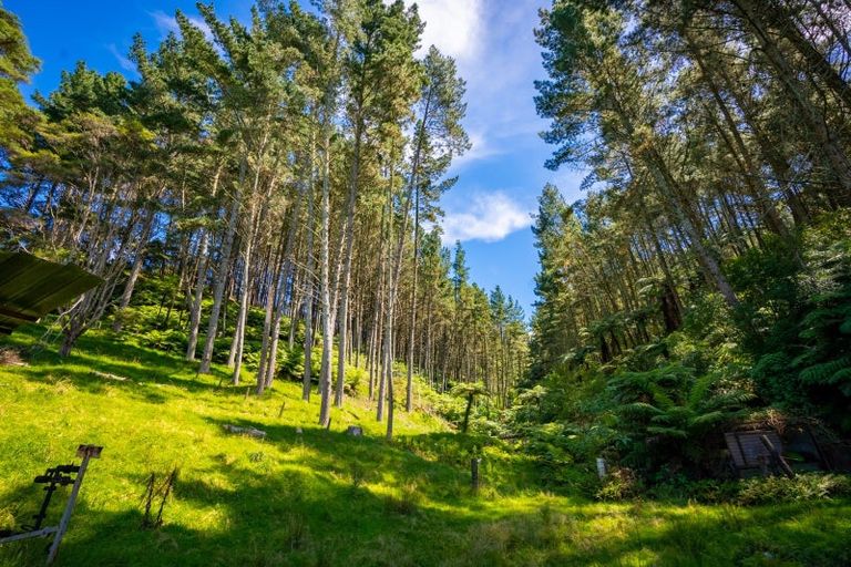 Photo of property in 629a Hakarimata Road, Ngaruawahia, Huntly, 3771