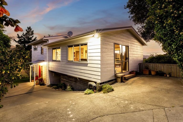 Photo of property in 165a Rawhiti Road, Pukerua Bay, 5026