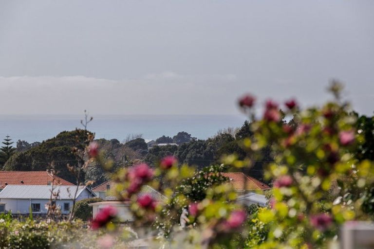 Photo of property in 11f Lemont Place, Westown, New Plymouth, 4310