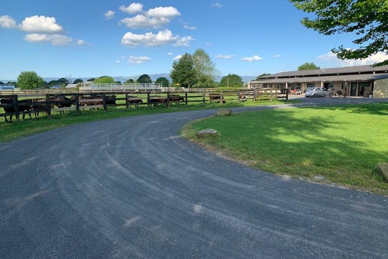 Photo of property in 53 Taihoa Road South, Matamata, 3473