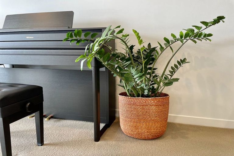 Photo of property in Republic2, 6c/10 Lorne Street, Te Aro, Wellington, 6011