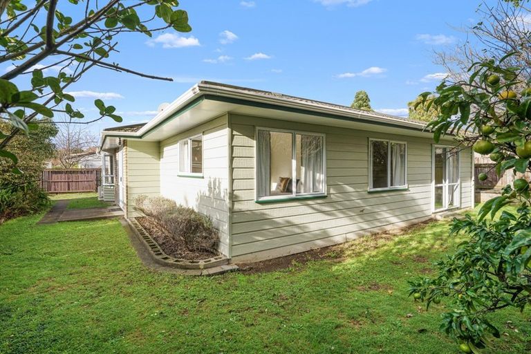 Photo of property in 61 Park Avenue, Waikanae, 5036