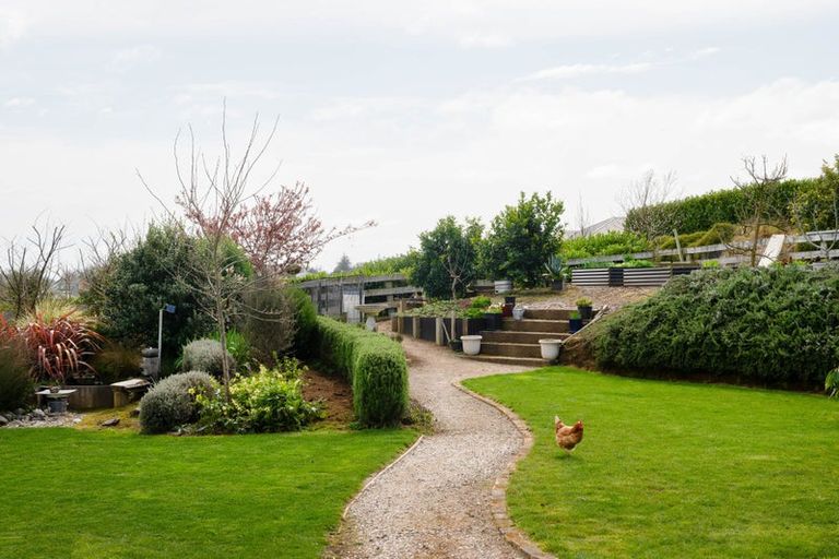 Photo of property in 53 Charles Edwards Street, Ohaupo, 3803