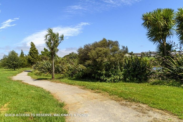 Photo of property in 113 Solomon Street, Brookfield, Tauranga, 3110