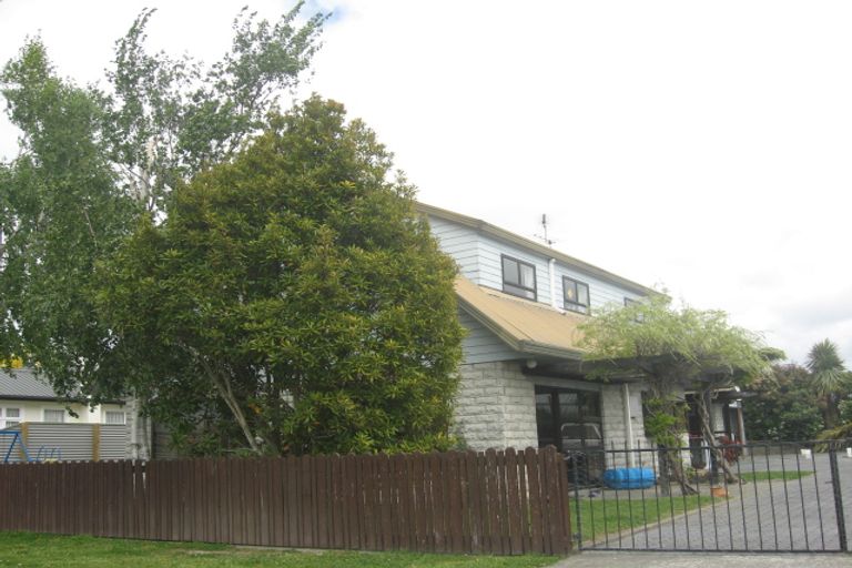 Photo of property in 38 Lee Street, Blenheim, 7201