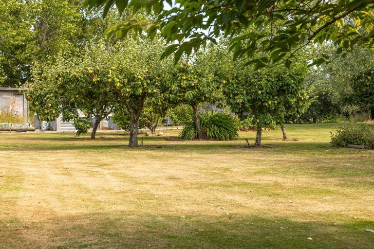 Photo of property in 145 Giffords Road, Rapaura, Blenheim, 7273