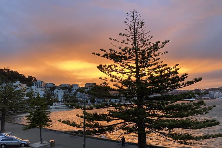 Photo of property in Inverleith Apartments, 3/306 Oriental Parade, Oriental Bay, Wellington, 6011