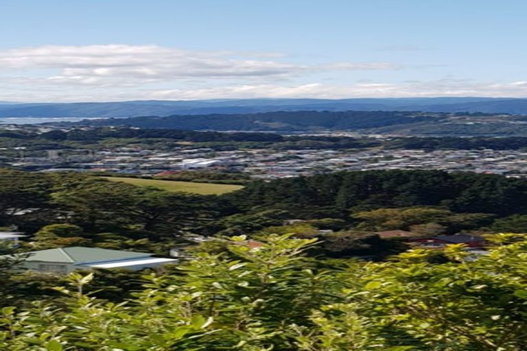 Photo of property in 153 The Ridgeway, Mornington, Wellington, 6021