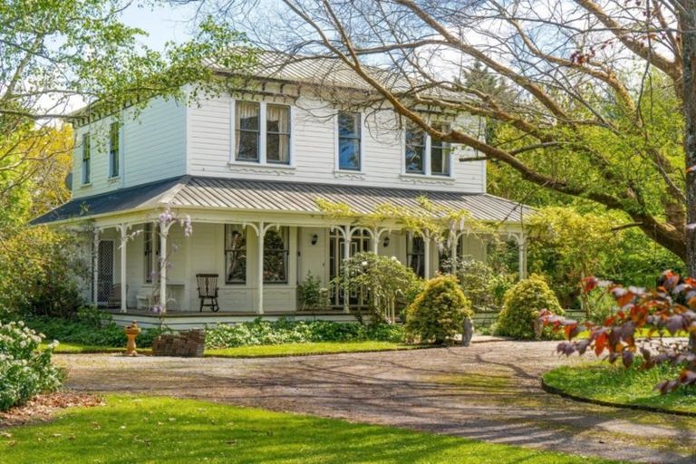 Photo of property in 61 Kibblewhite Road, Upper Plain, Masterton, 5888