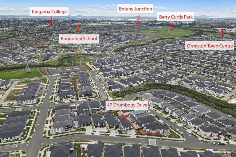 Photo of property in 47 Drumbuoy Drive, Flat Bush, Auckland, 2019