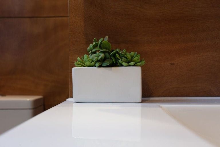 Photo of property in 7b Lyn Street, Lynmouth, New Plymouth, 4310