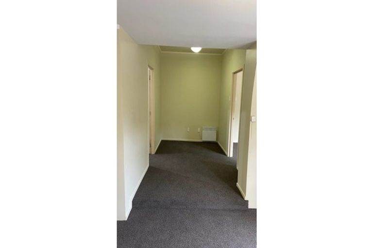 Photo of property in 27 Mccoll Street, Vogeltown, Wellington, 6021