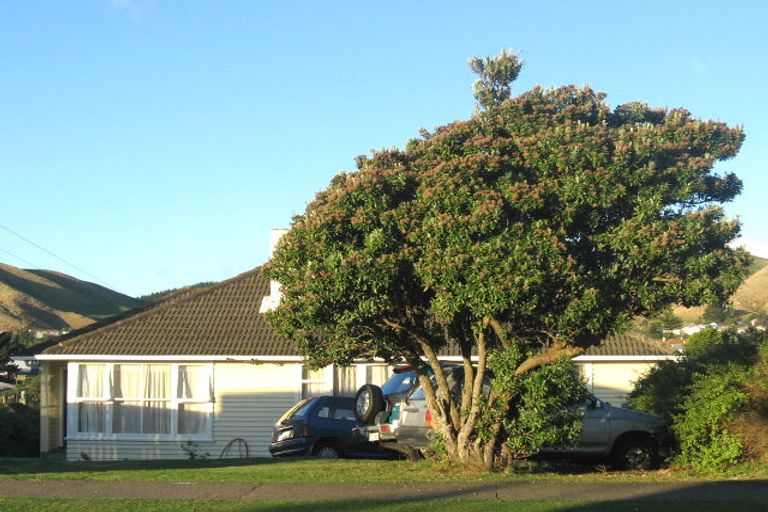 Photo of property in 19 Miranda Street, Cannons Creek, Porirua, 5024