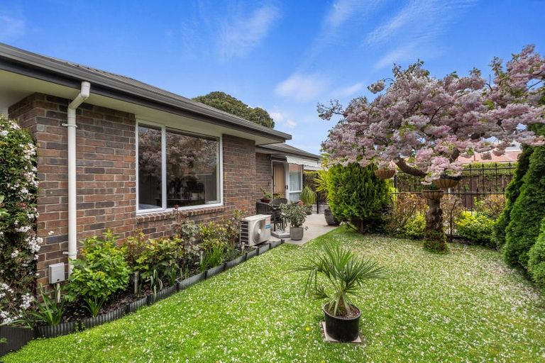 Photo of property in 3/210 Hastings Street East, Waltham, Christchurch, 8023