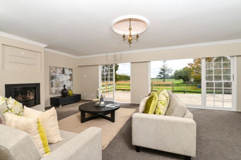 Photo of property in 137 Marshmeadow Road, Newstead, Hamilton, 3286