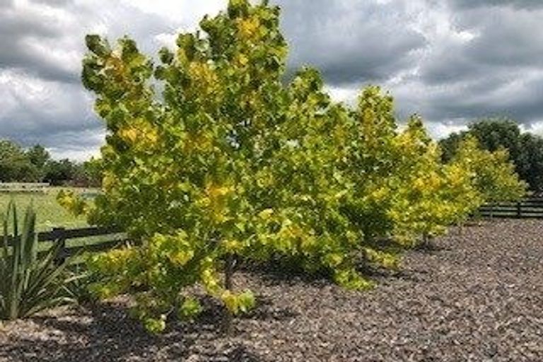 Photo of property in 115a Travers Road, Te Kauwhata, 3782