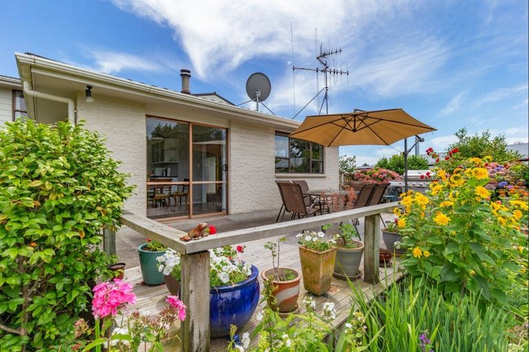Photo of property in 12 Gardener Street, Levin, 5510