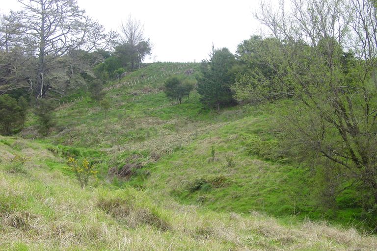 Photo of property in 521 Ahuroa Road, Puhoi, Warkworth, 0994