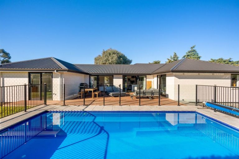 Photo of property in 238 Taylor Pass Road, Witherlea, Blenheim, 7201