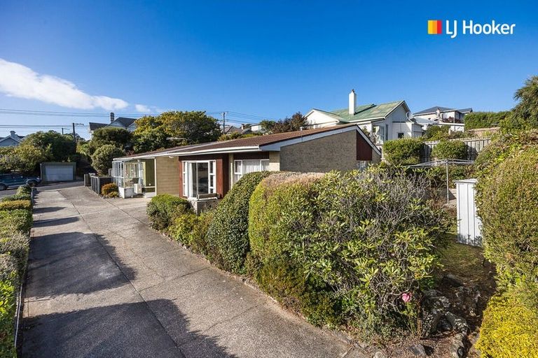 Photo of property in 20b Arawa Street, Tainui, Dunedin, 9013