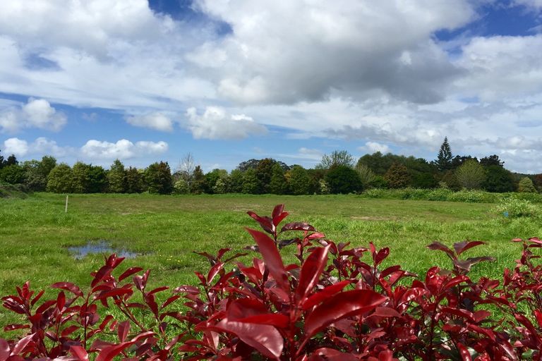 Photo of property in 10 Pathways Drive, Kerikeri, 0230