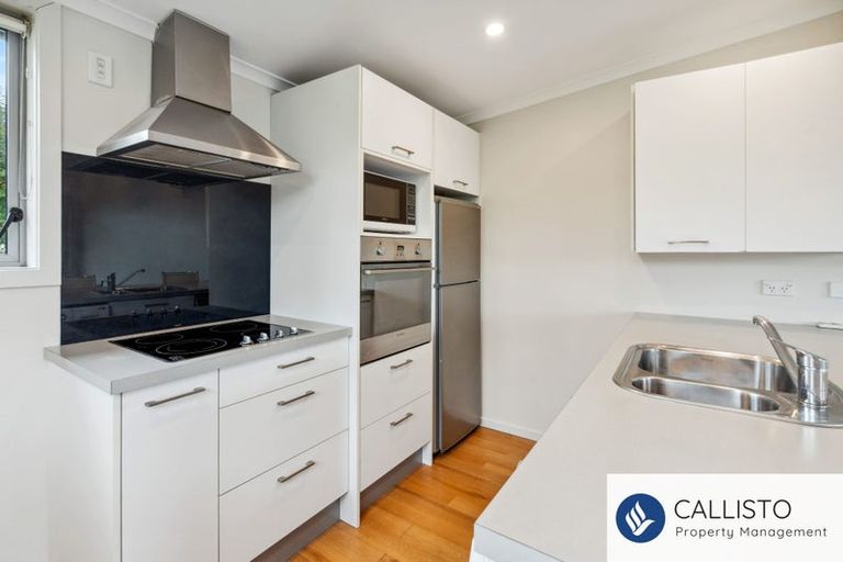Photo of property in 66a Maclaggan Street, Dunedin Central, Dunedin, 9016