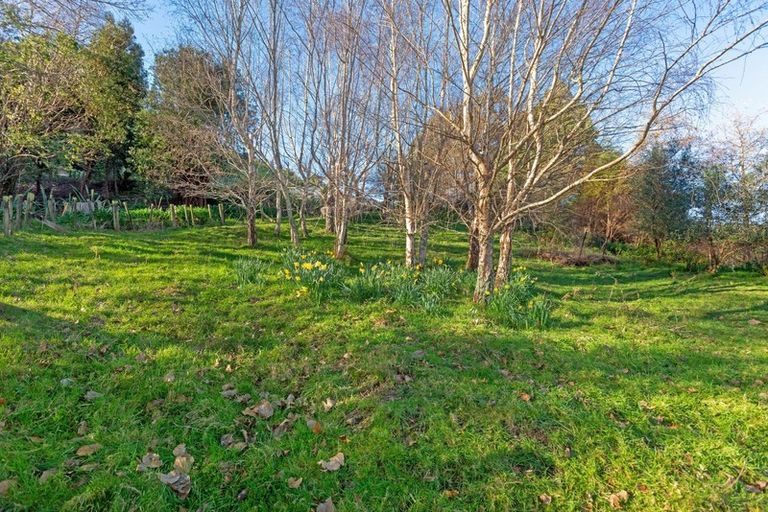 Photo of property in 331a Matokitoki Valley Road, Matokitoki, Gisborne, 4071