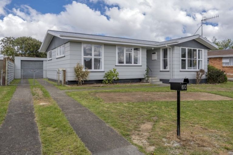 Photo of property in 60 Hinemoa Street, Levin, 5510
