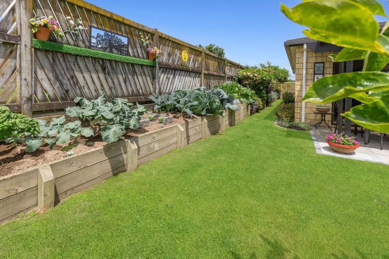Photo of property in Parkside Villas, 74/11 Manuka Street, Matamata, 3400