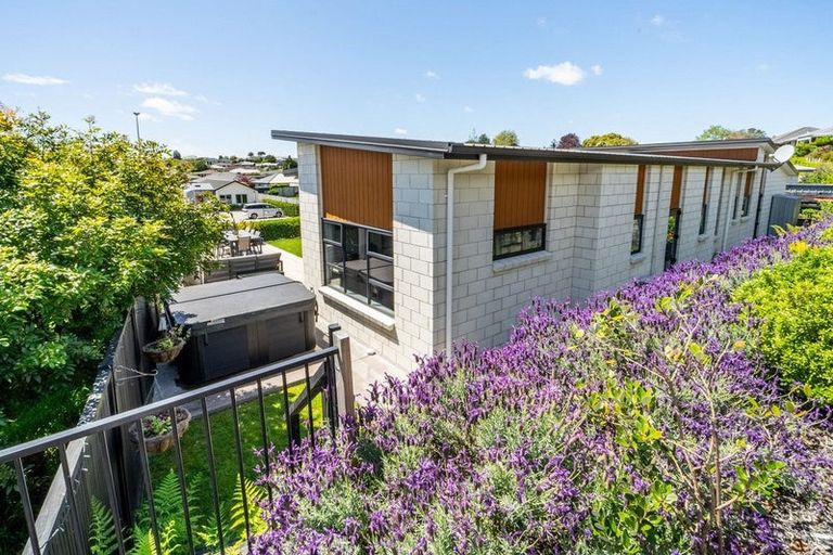 Photo of property in 161 Margaret Drive, Omokoroa, 3114