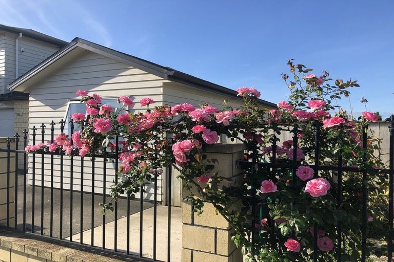 Photo of property in 24 Charlestown Drive, Flat Bush, Auckland, 2019