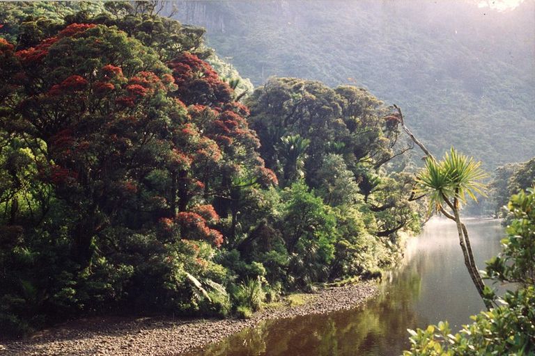 Photo of property in 4423 State Highway 6, Punakaiki, 7873