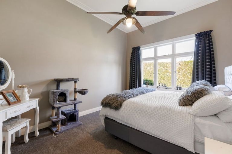 Photo of property in 1544 Cambridge Road, Cambridge, Hamilton, 3283